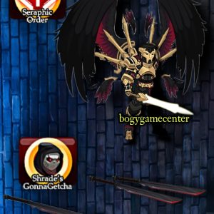 AQW - Seraphic Paladin Order and Welcome to Camp Gonna Getcha Combo Bundle